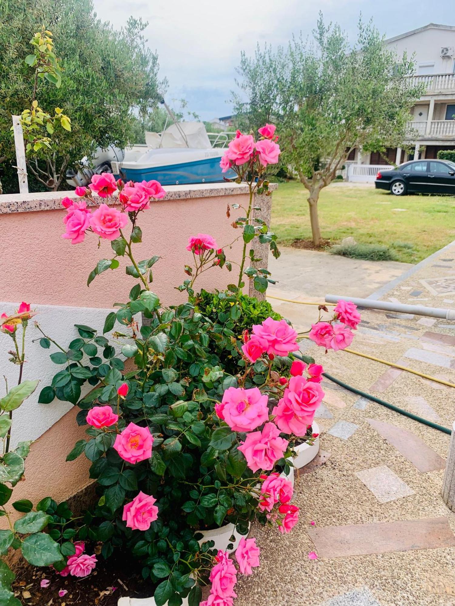 ויר Apartments Barbara 111 מראה חיצוני תמונה