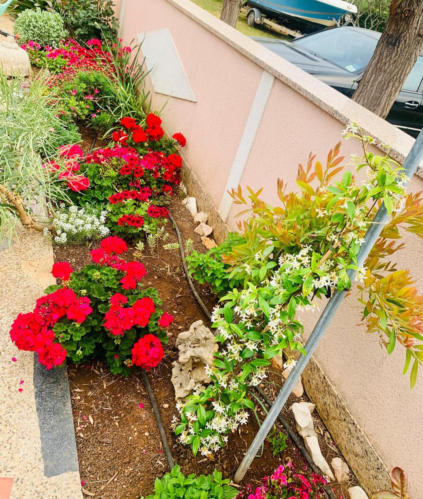ויר Apartments Barbara 111 מראה חיצוני תמונה